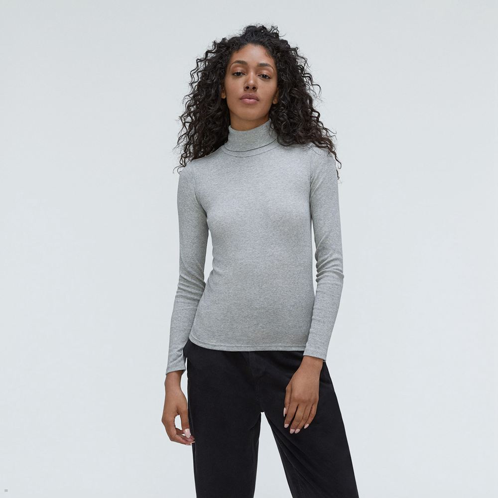 Hauts Everlane The Pima Micro-Rib Turtleneck Grise Femme | GCQ-28423656