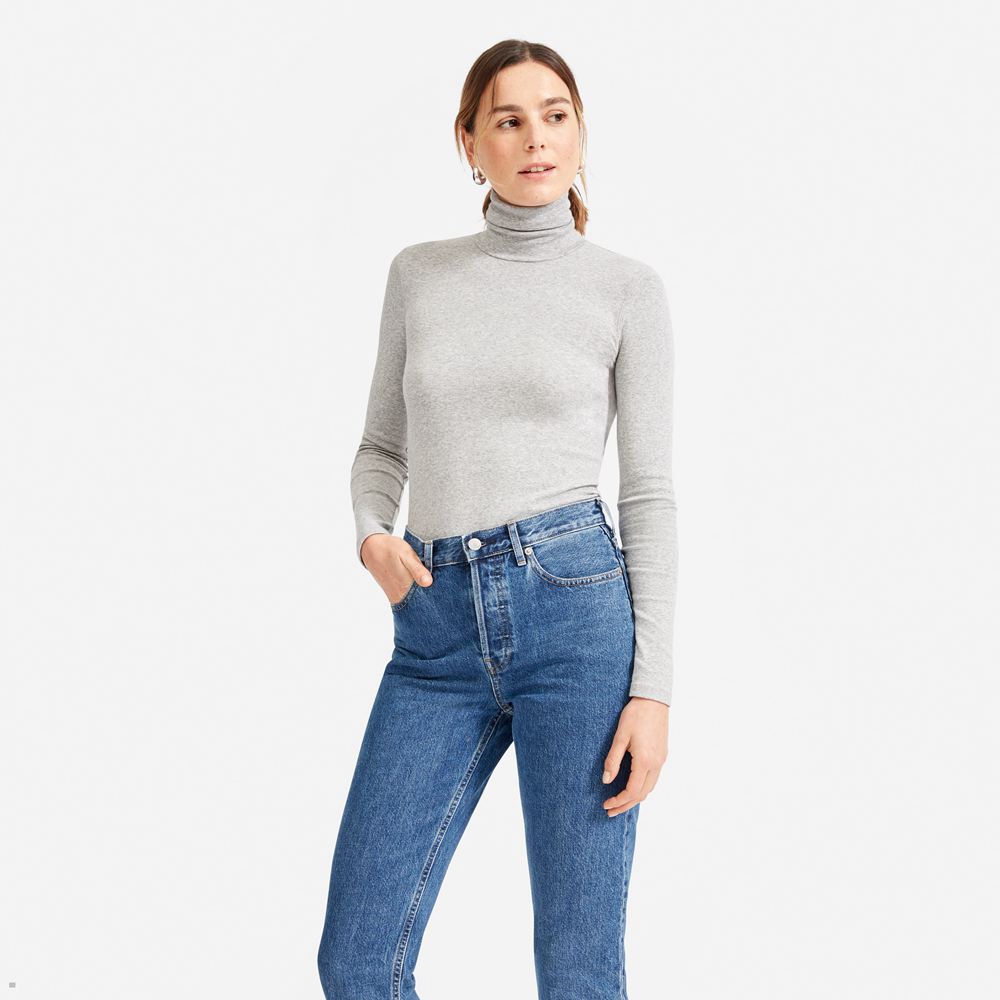 Hauts Everlane The Pima Micro-Rib Turtleneck Grise Femme | UEV-39539073