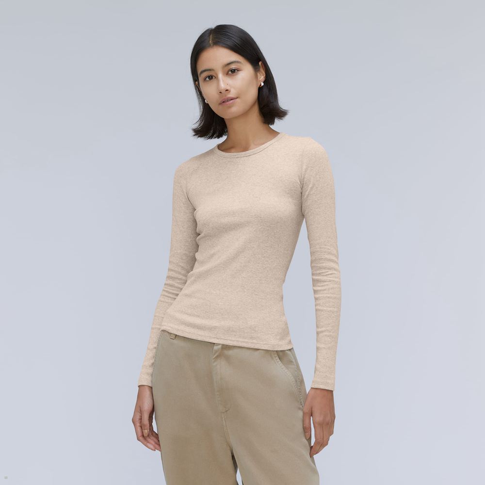 Hauts Everlane The Pima Micro-Rib Long-Sleeve Crew Beige Femme | VKI-94186858