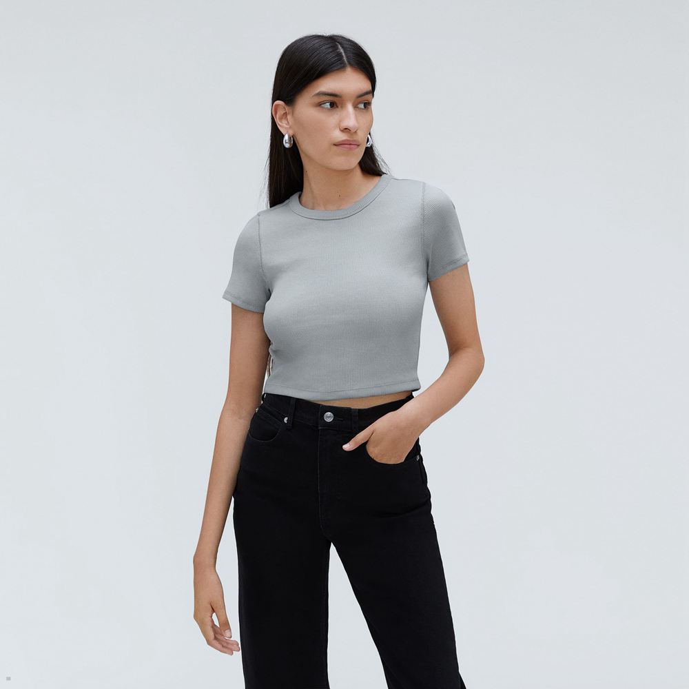 T Shirts Everlane The Nervuré Baby Bleu Femme | DLT-71148513