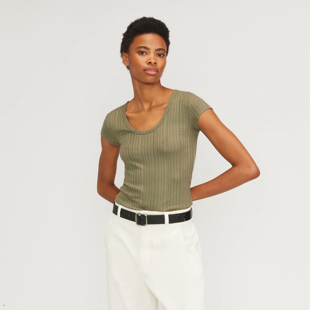 T Shirts Everlane The Rib Soft Knit Scoop-Neck Vert Olive Femme | HSY-88970685