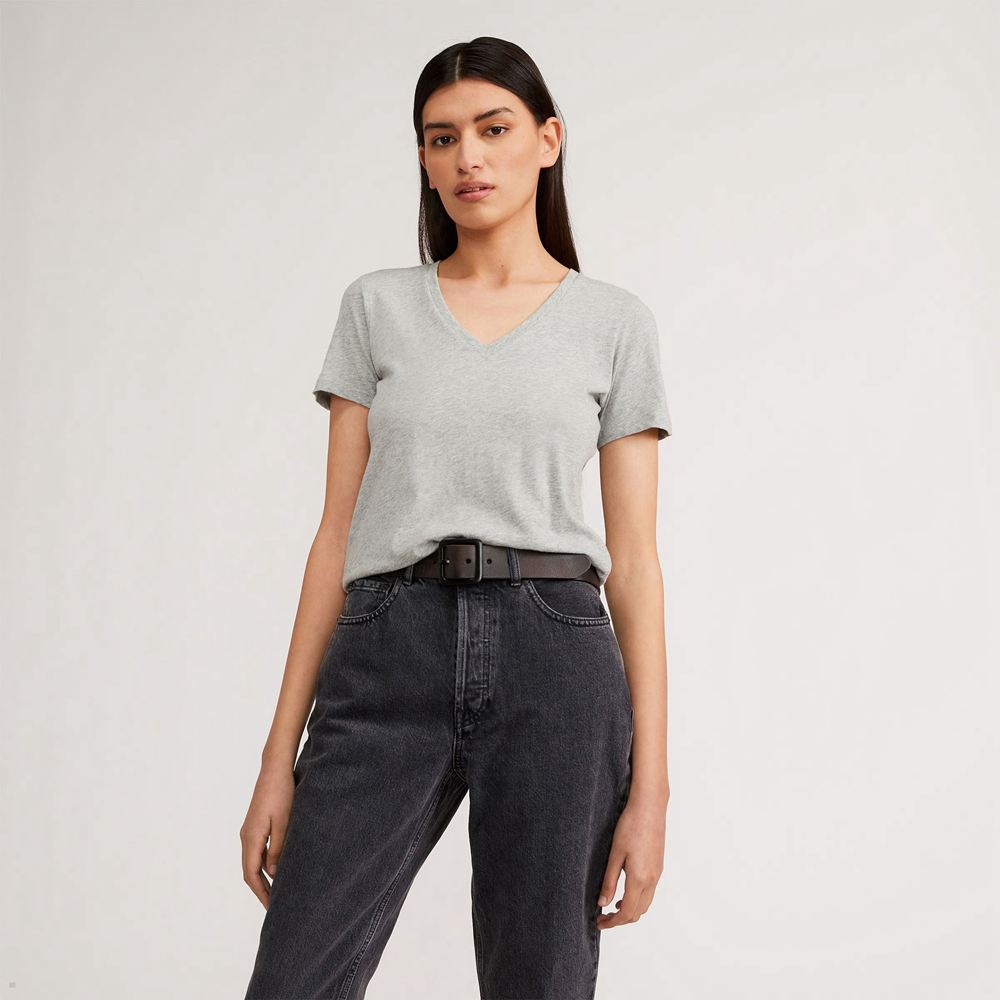 T Shirts Everlane The Organic Coton V-Neck Grise Femme | WUU-68283556