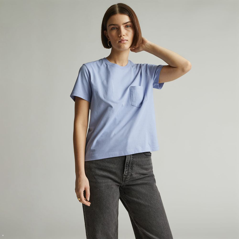 T Shirts Everlane The Organic Coton Box-Cut Bleu Femme | DTT-58446047