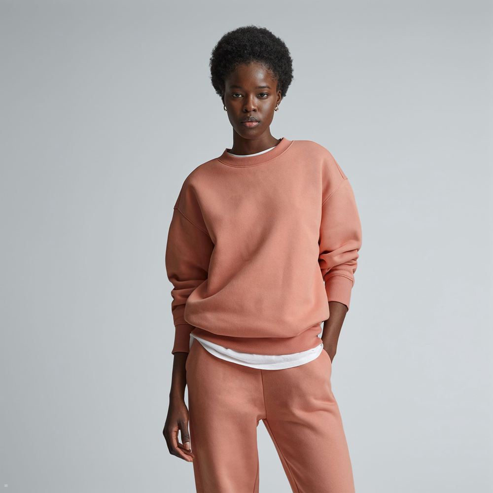 Chandails Everlane The Retrack Oversized Crew Rose Femme | PIC-88829275