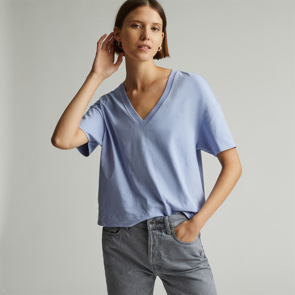 Chemises Everlane The Organic Coton Slouchy V-Neck Bleu Femme | JUL-21269944