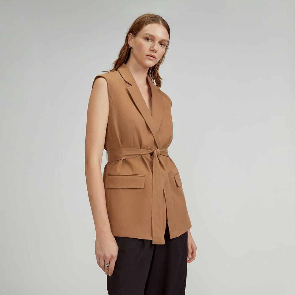 Blazer Everlane The Tencel? Sans Manches Marron Femme | BPS-34524658