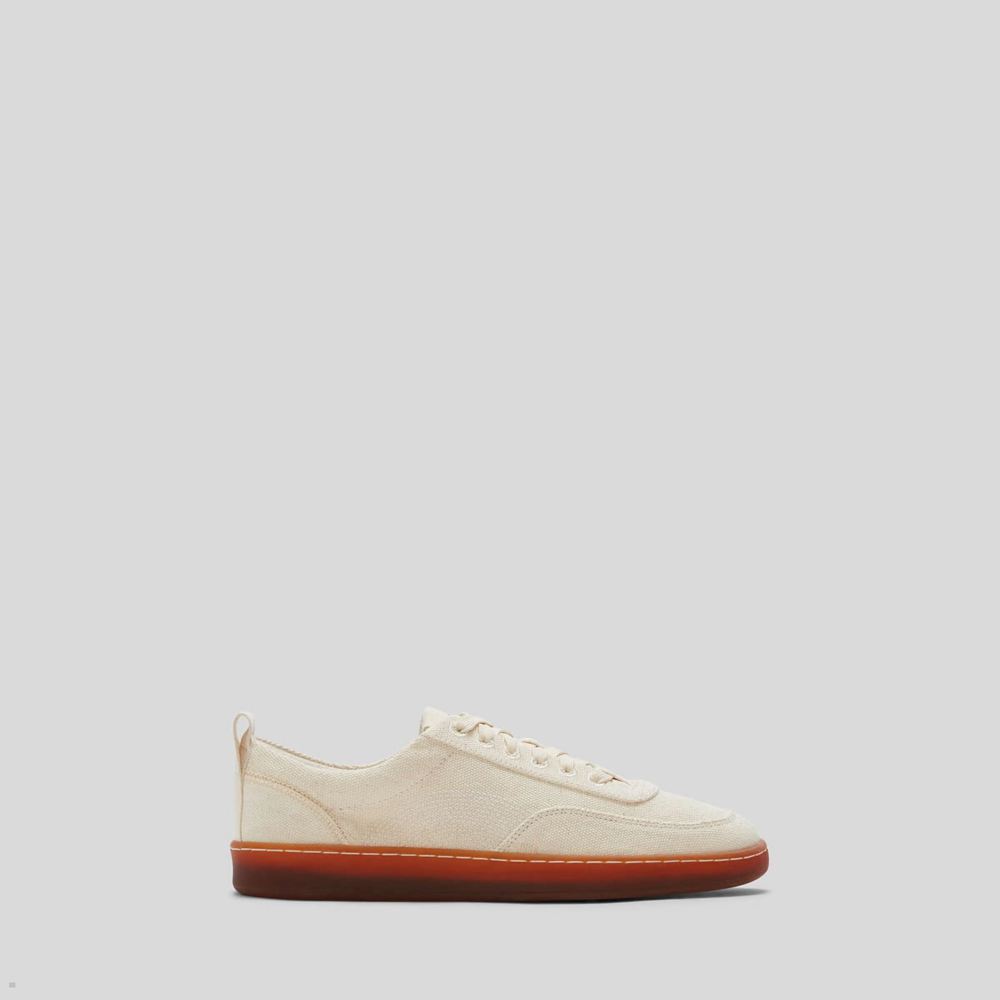 Basket Everlane The Tread-Bare Blanche Femme | QAX-73168582