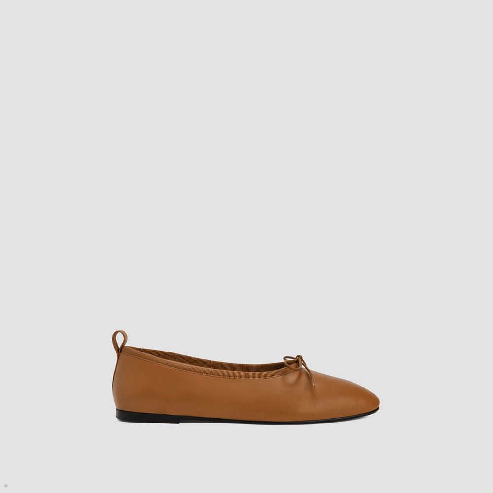 Ballerine Everlane The Italian Cuir Day Marron Femme | AVB-06446800