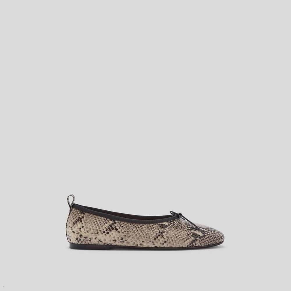 Ballerine Everlane The Italian Cuir Day Serpent Femme | PUC-00751553