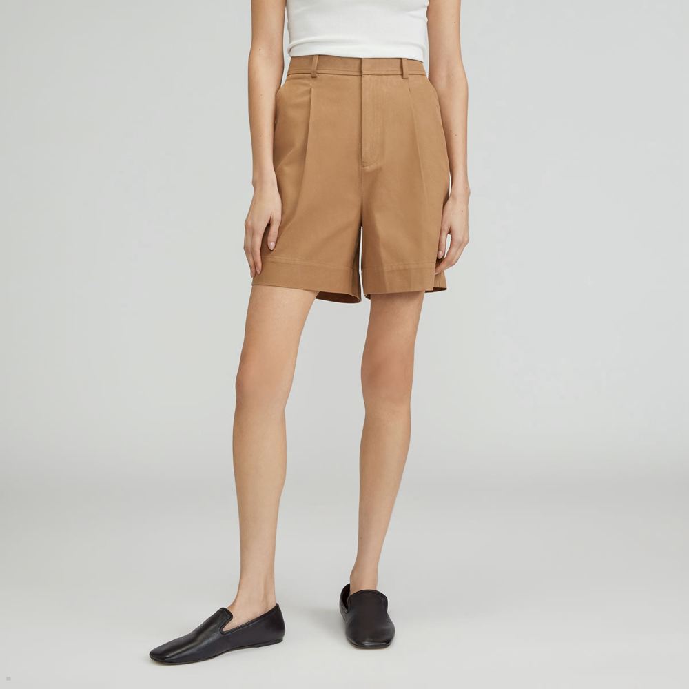 Shorts Everlane The Tencel? Way-High Drape Marron Femme | UVR-72186898