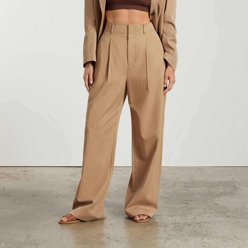 Pantalon Everlane The Way-High Drape Marron Femme | VYA-22455525