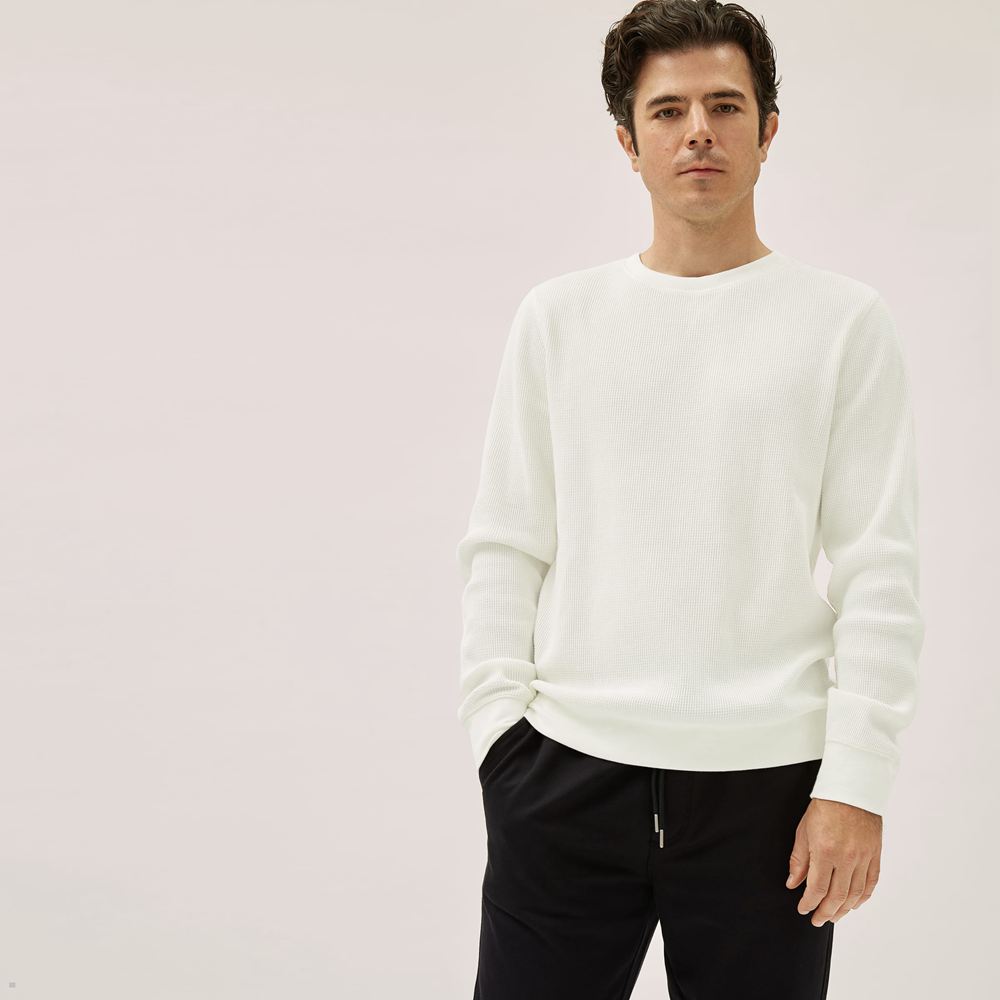 T Shirts Everlane The Waffle Long-Sleeve Crew Blanche Homme | JDO-76942598