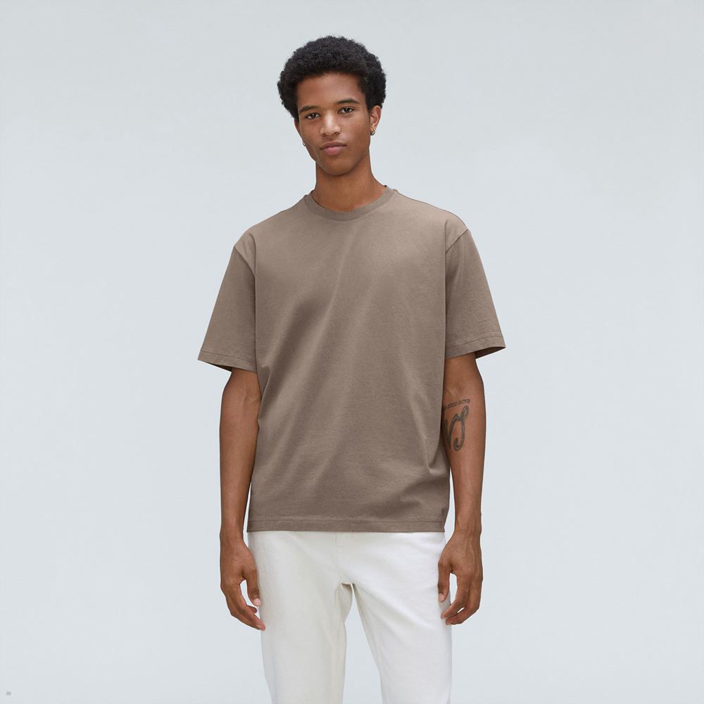 T Shirts Everlane The Premium-Weight Relaxed Crew Marron Homme | PHY-29179548