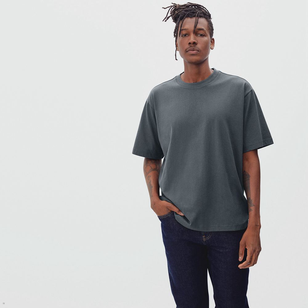 T Shirts Everlane The Premium-Weight Relaxed Crew Grise Homme | PDI-03103917