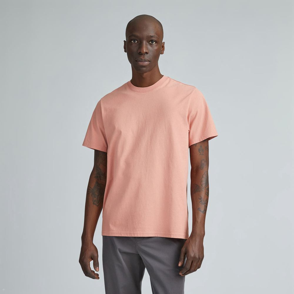 T Shirts Everlane The Premium-Weight Relaxed Crew Rose Homme | GAB-63599049