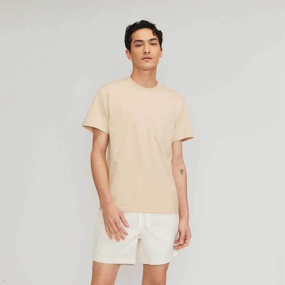 T Shirts Everlane The Premium-Weight Pocket Beige Homme | YHO-65043978