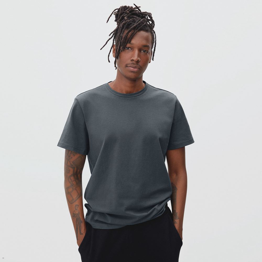 T Shirts Everlane The Premium-Weight Crew Grise Homme | BTA-42331730