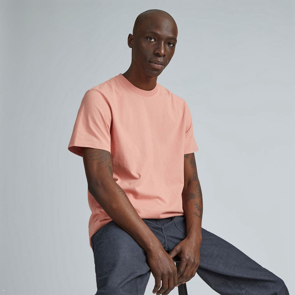 T Shirts Everlane The Premium-Weight Crew Rose Homme | OJN-03284650