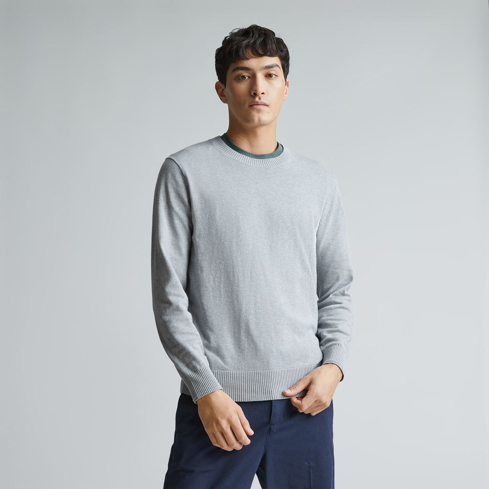 Chandails Everlane The No-Sweat Grise Homme | DOP-30612814