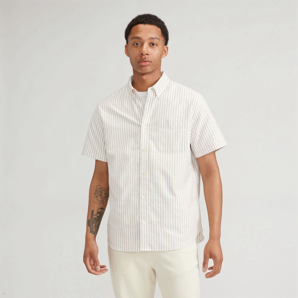 Chemises Everlane The Organic Corta Sleeve Oxford Blanche Homme | TMI-81241962