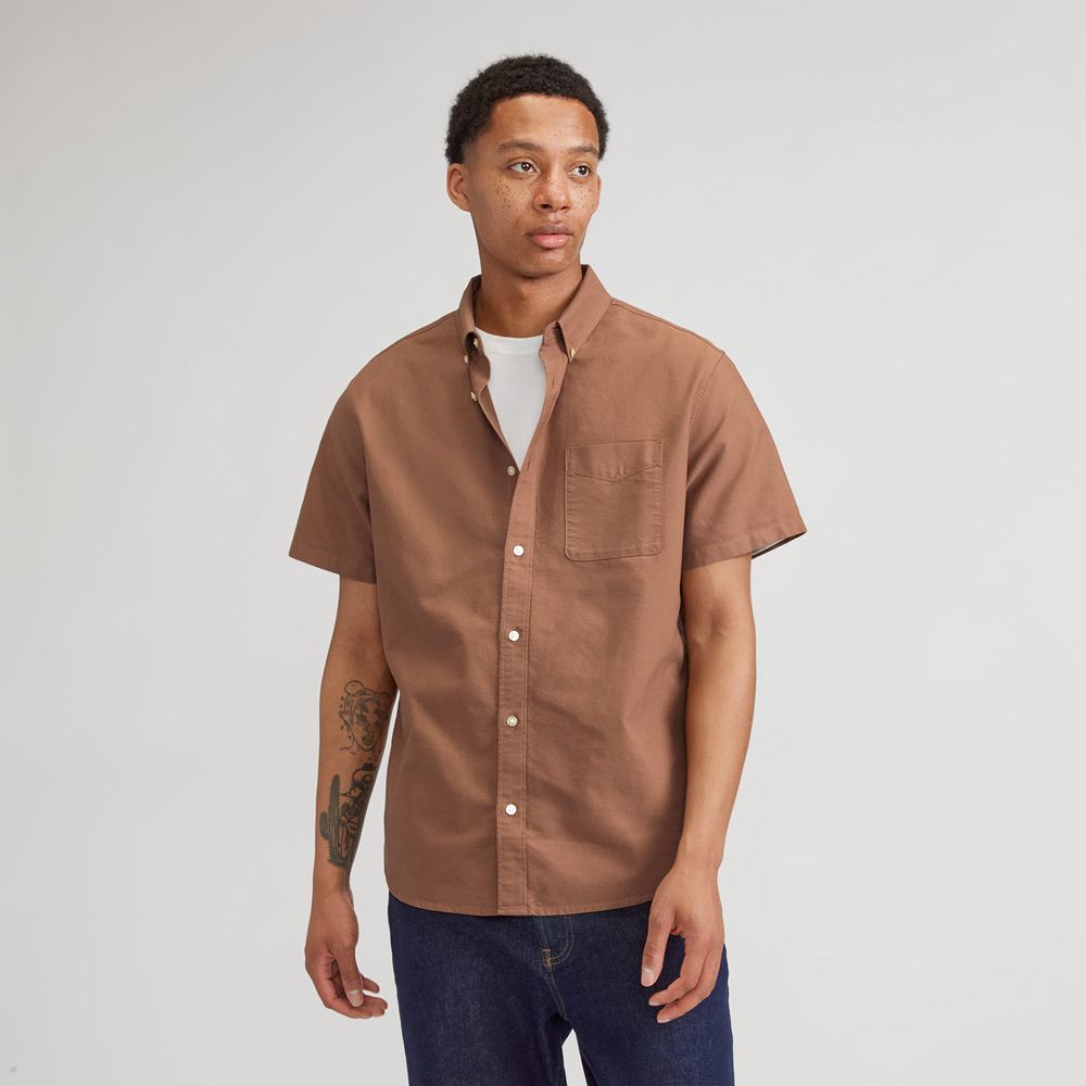 Chemises Everlane The Organic Corta Sleeve Oxford Marron Homme | OQO-76212801