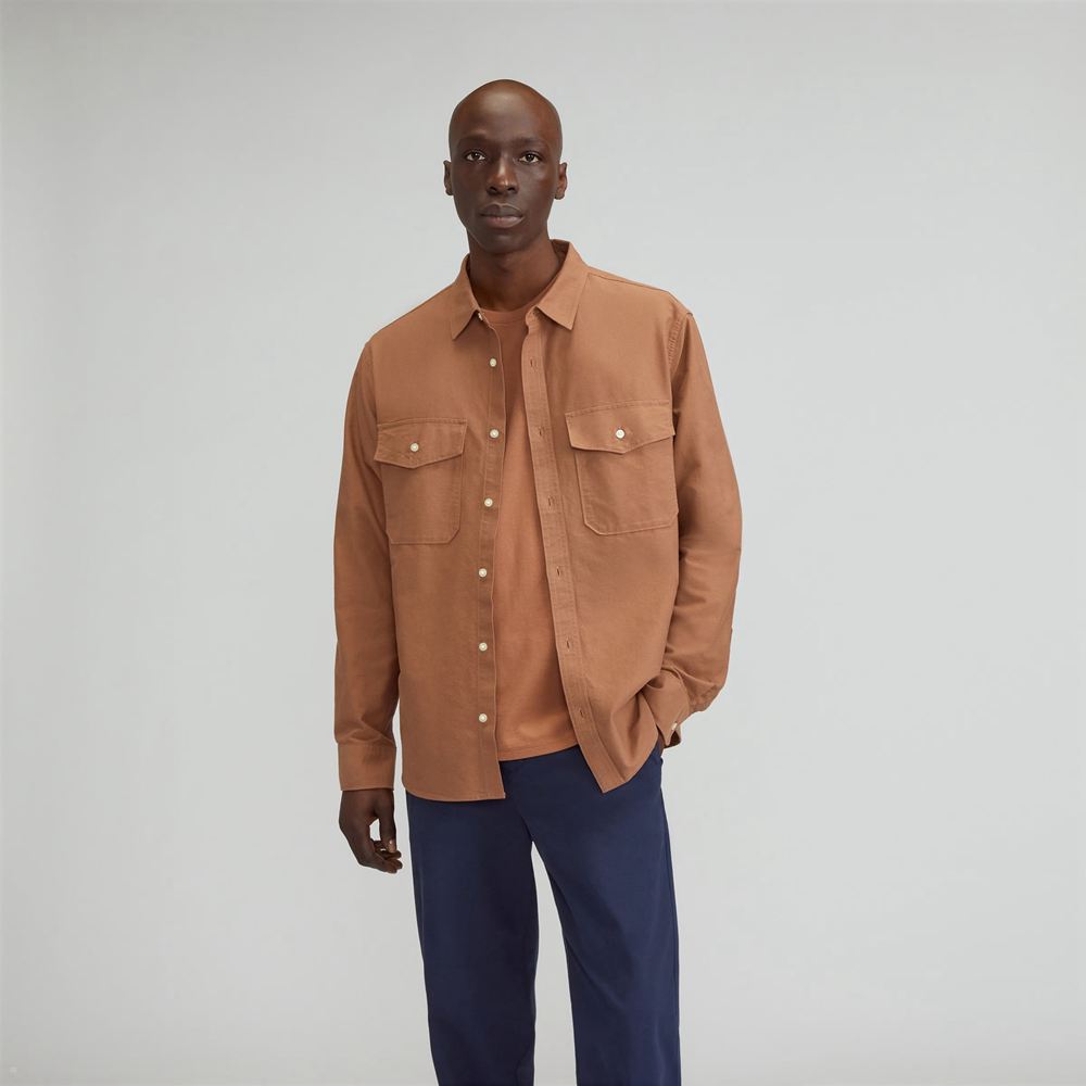 Chemises Everlane The Organic Oxford Relaxed Utility Marron Homme | NSZ-19745927