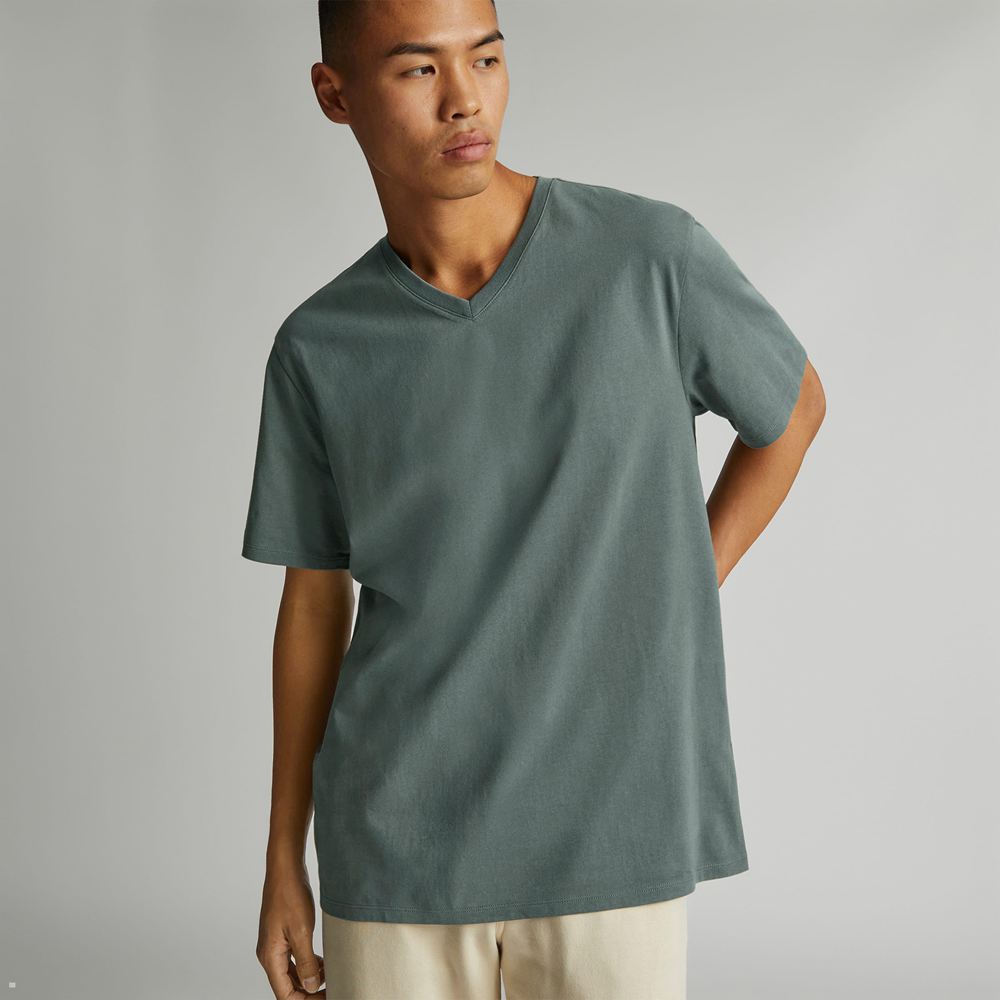 T Shirts Everlane The Organic Coton V-Neck Vert Homme | NKT-35775344