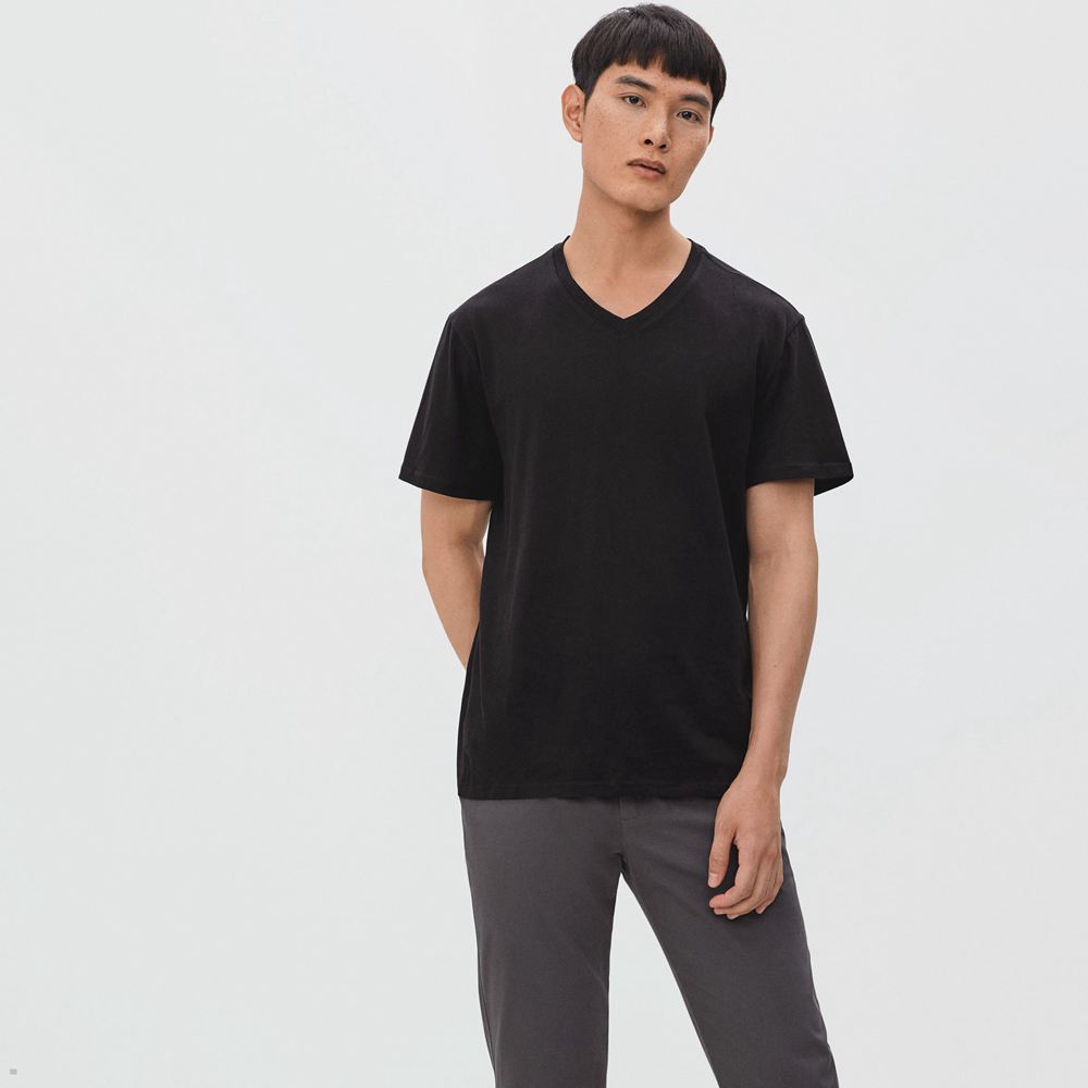 T Shirts Everlane The Organic Coton V-Neck Noir Homme | VJD-86533573