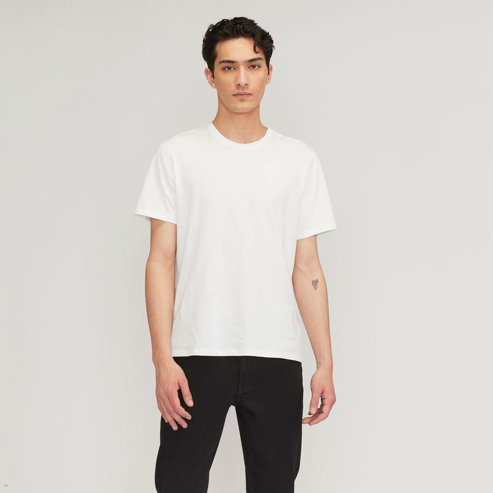 T Shirts Everlane The Organic Coton Crew Blanche Homme | INB-03856297