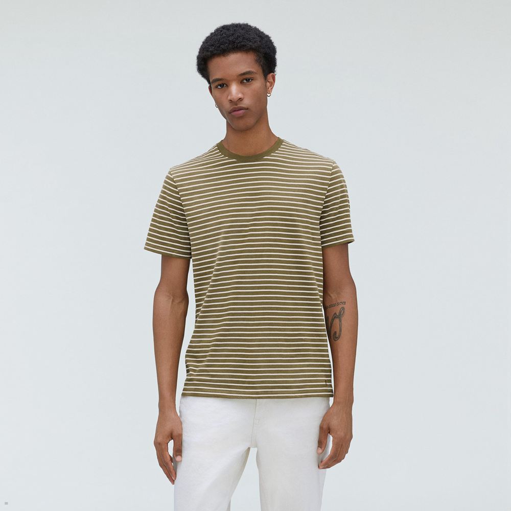 T Shirts Everlane The Organic Coton Crew Vert Olive Homme | LTV-00606663