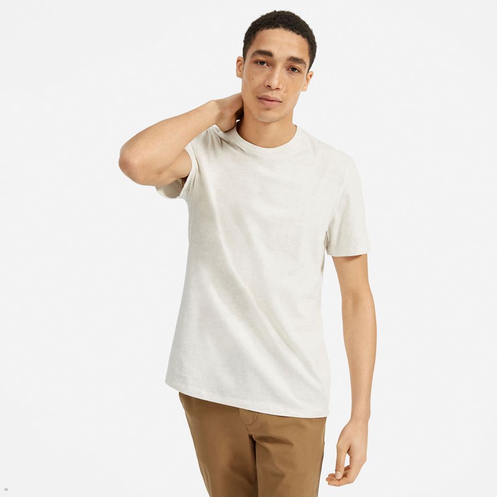 T Shirts Everlane The Organic Coton Crew Beige Homme | PCV-23538152