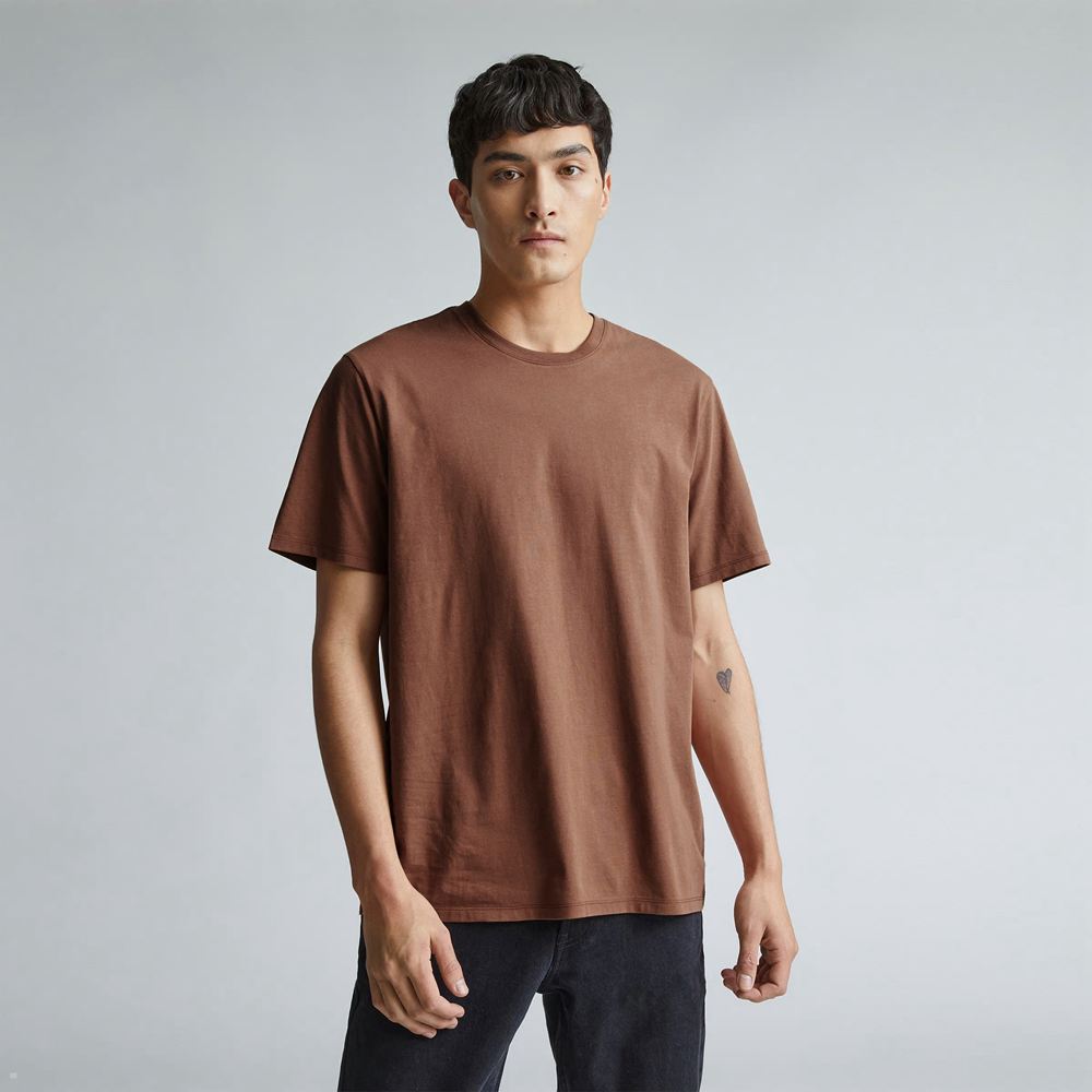 T Shirts Everlane The Organic Coton Crew Marron Homme | THI-22590537