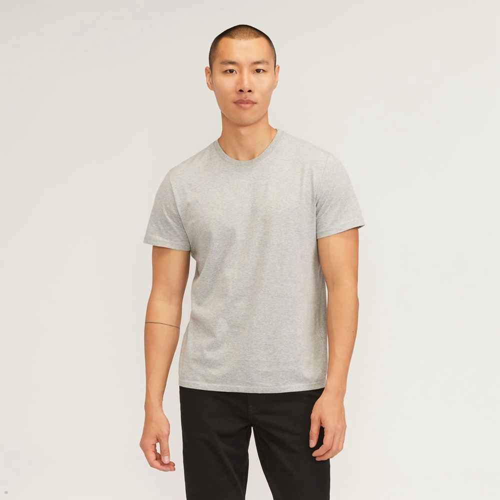 T Shirts Everlane The Organic Coton Crew Grise Homme | MCF-60454701