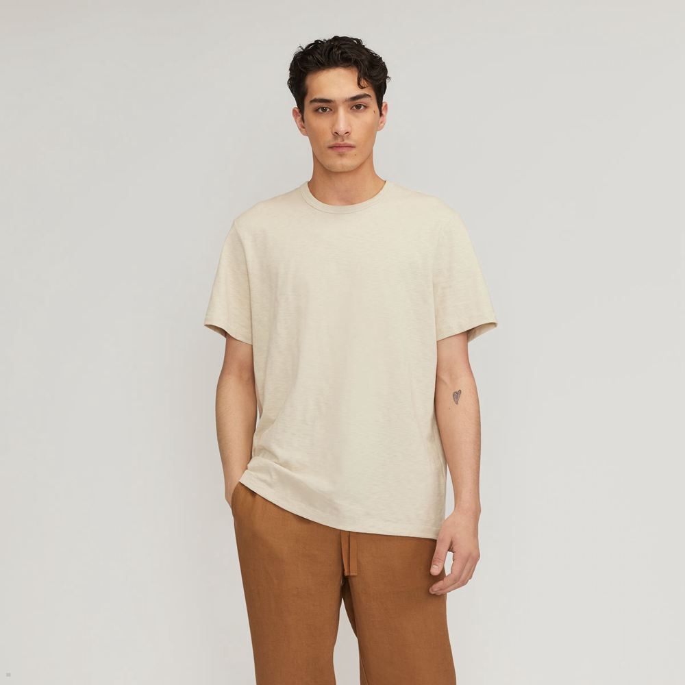 T Shirts Everlane The Good Earth Coton Slub Crew Beige Homme | HTM-28729951