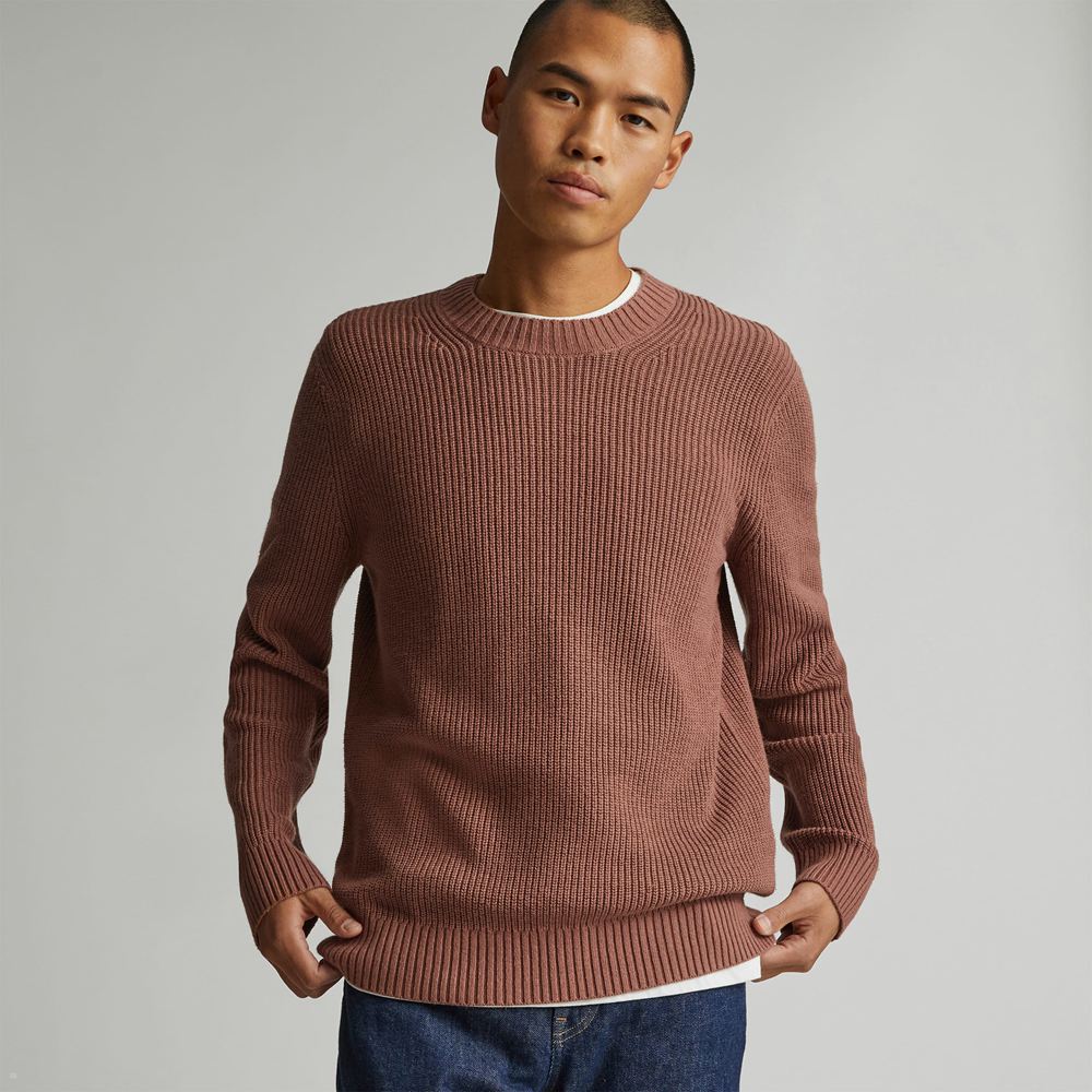 Chandails Everlane The No-Sweat Nervuré Crew Marron Homme | IYD-06738347