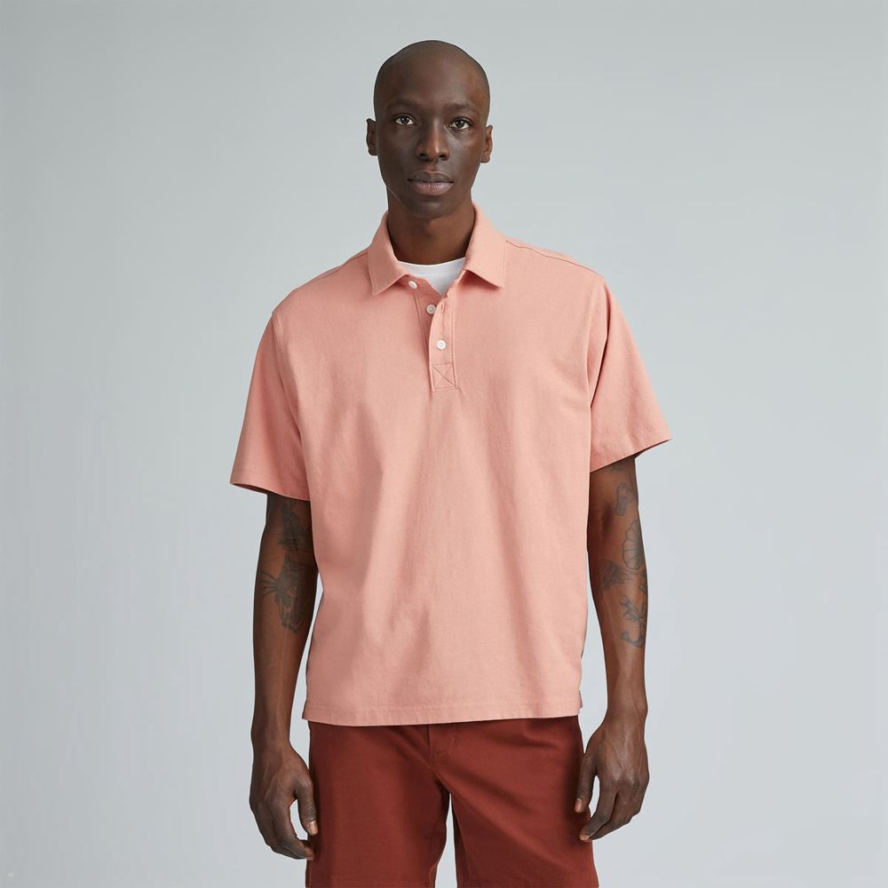 Polos Everlane The Premium Weight Relaxed Rose Homme | RNS-88649848