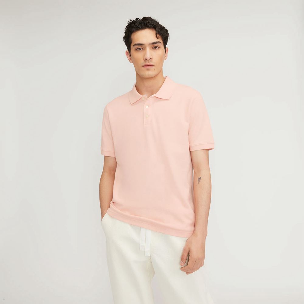 Polos Everlane The Good Earth Coton Rose Homme | FJQ-45363899