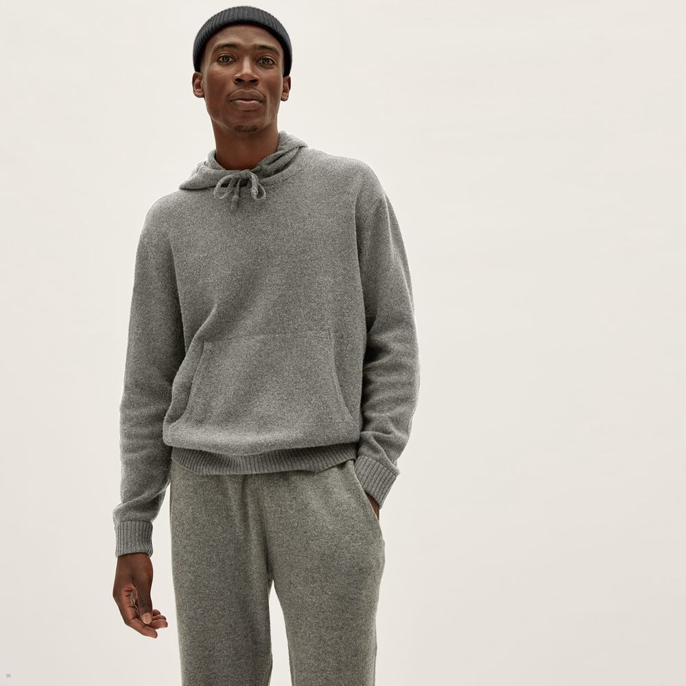 Sweat à Capuche Everlane The Felted Merino Grise Homme | OAI-97523886