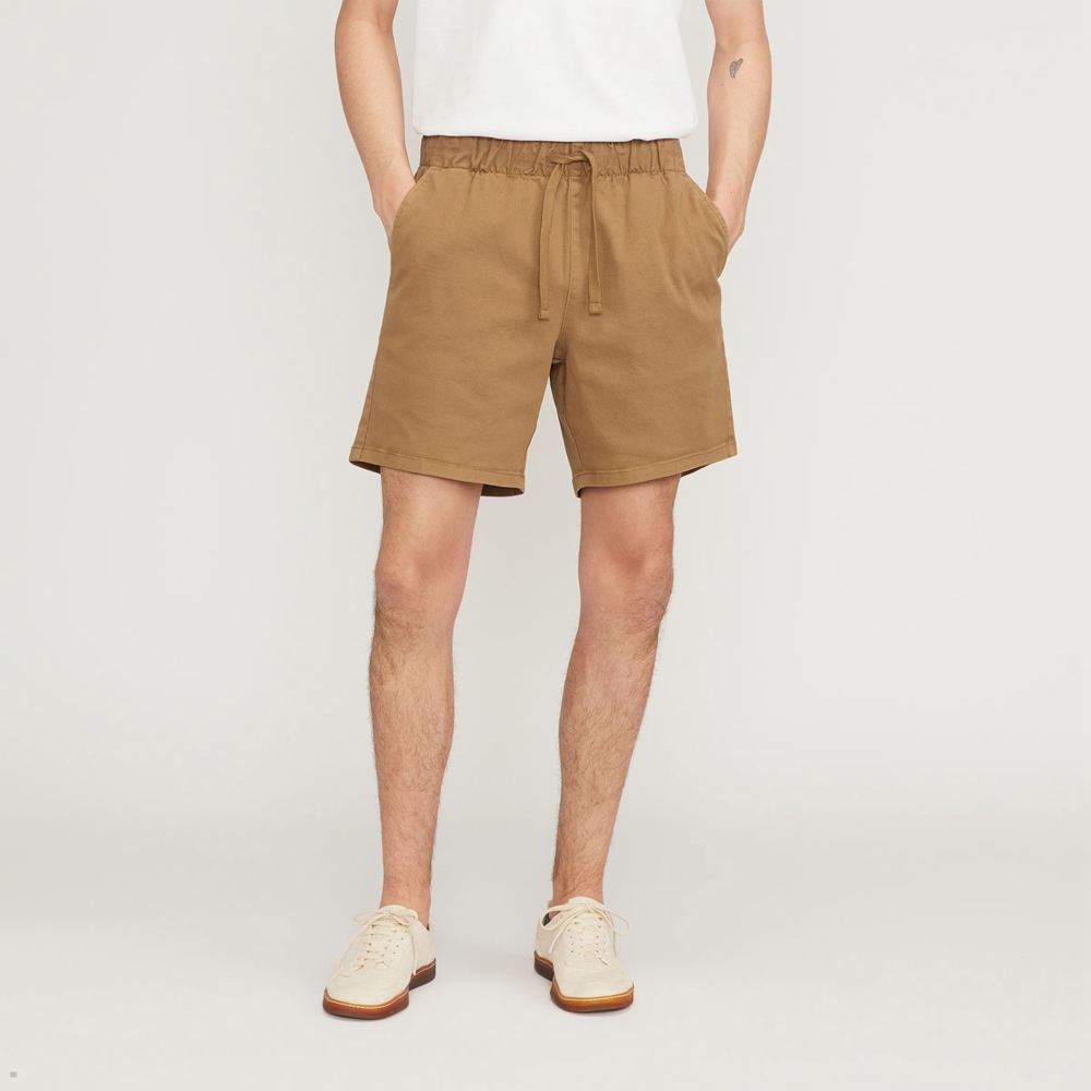 Shorts Everlane The Easy Marron Homme | VSZ-44425427