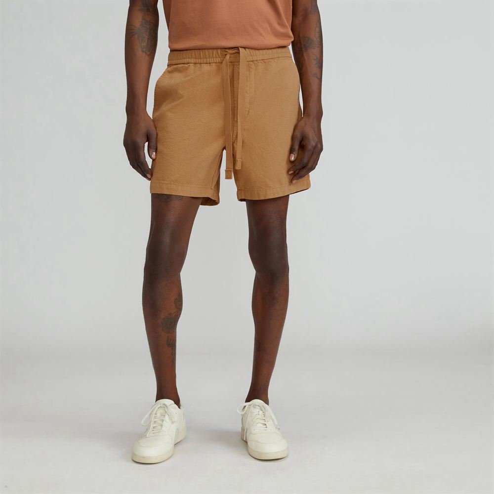 Shorts Everlane The Tela Organic Coton Marron Homme | HRH-45346967