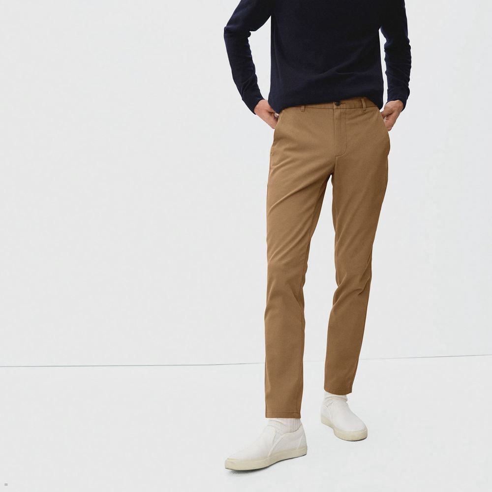 Pantalon Everlane The Performance Chino Marron Homme | HJH-00729245