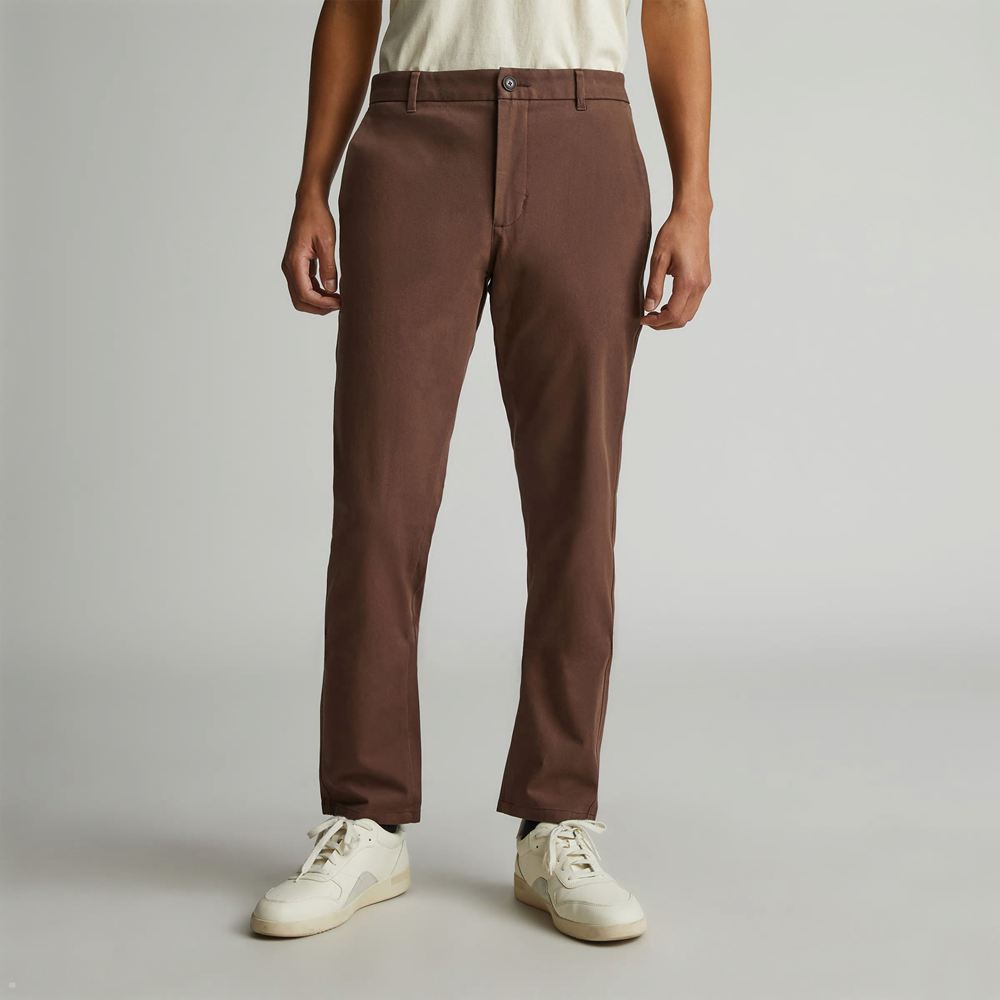 Pantalon Everlane The Performance Chino Marron Foncé Homme | JUQ-86042762